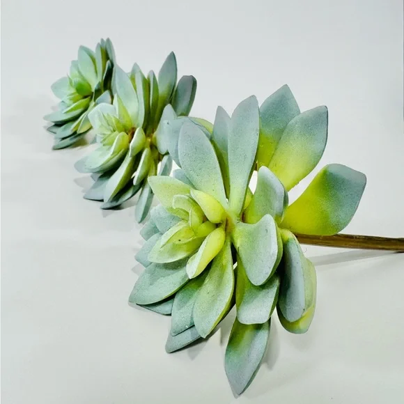 Faux Succulents (3x) - Picture 2 of 9